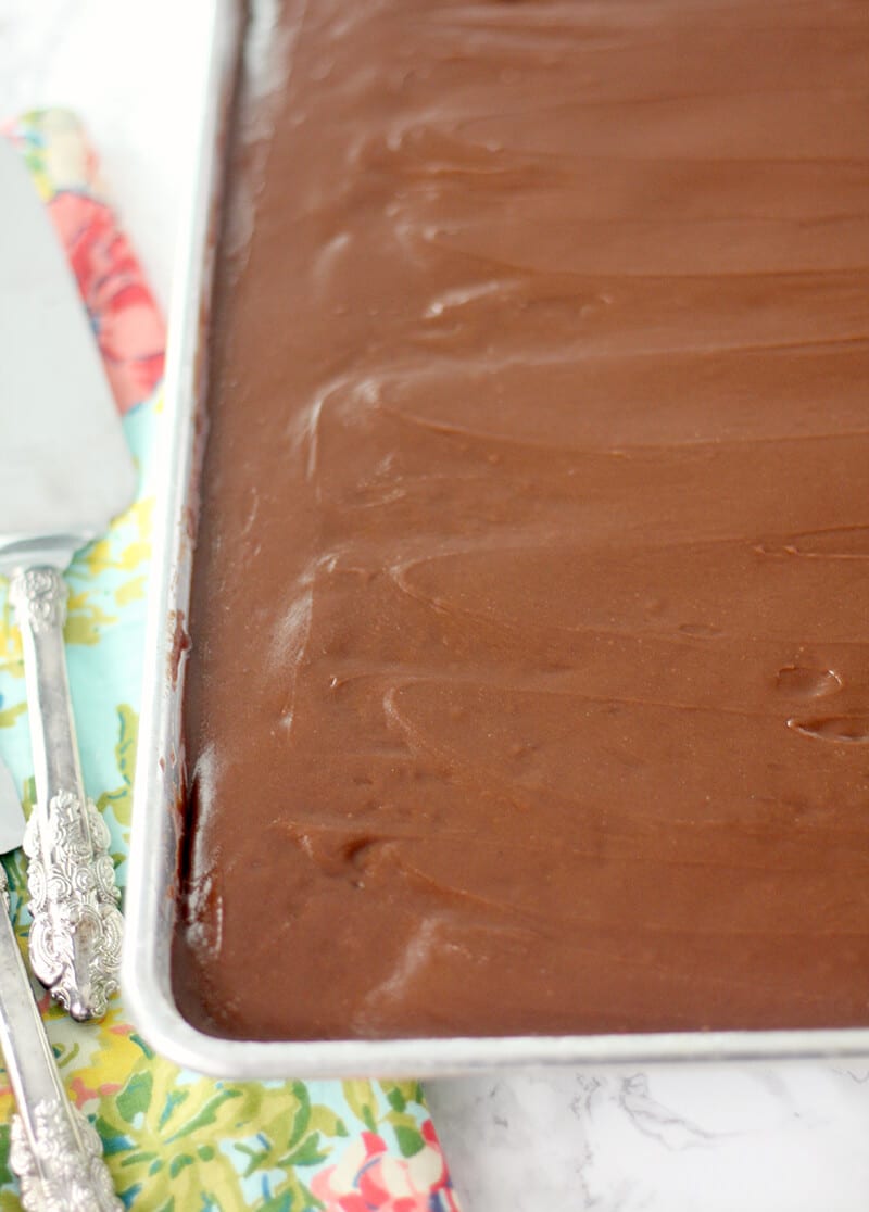 Chocolate Sheet Cake in pan