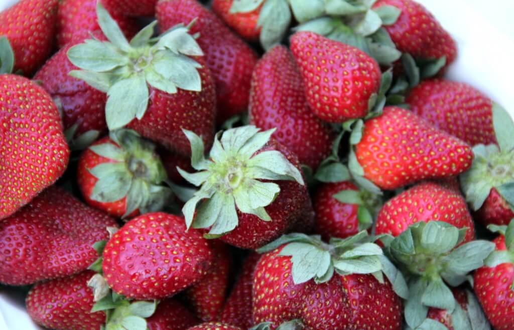 Close up of fresh strawberries. 