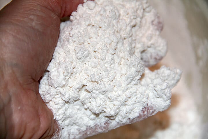 A handful of crumbly dough for fried apple pies.