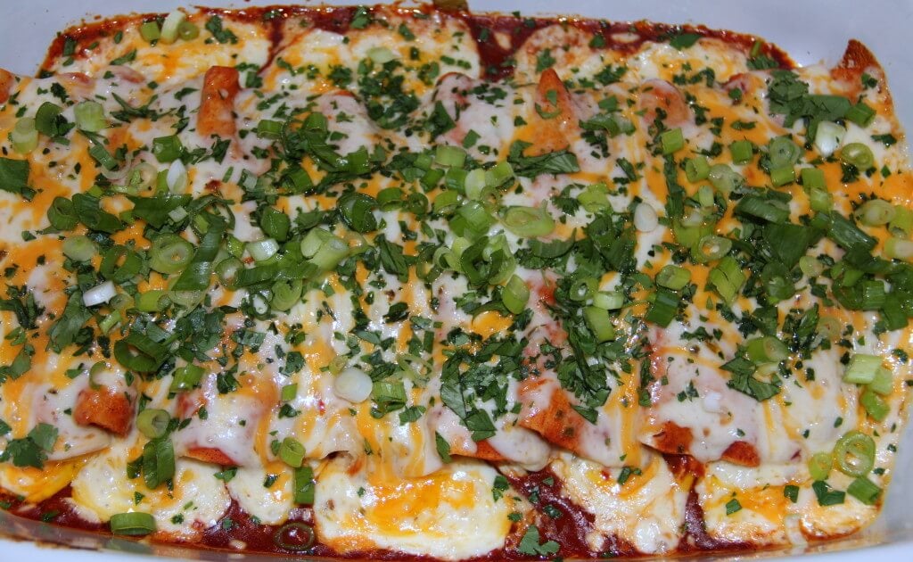 Chicken Enchiladas