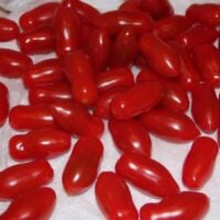 Tomato Salad