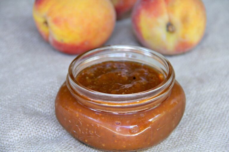 Comeback Sauce with a Kick The Perfect Dipping Sauce