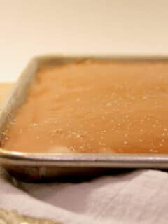 Salted Caramel Sheet Cake is a moist and easy cake with a homemade caramel frosting. If you're feeding a crowd, you'll have a happy party!