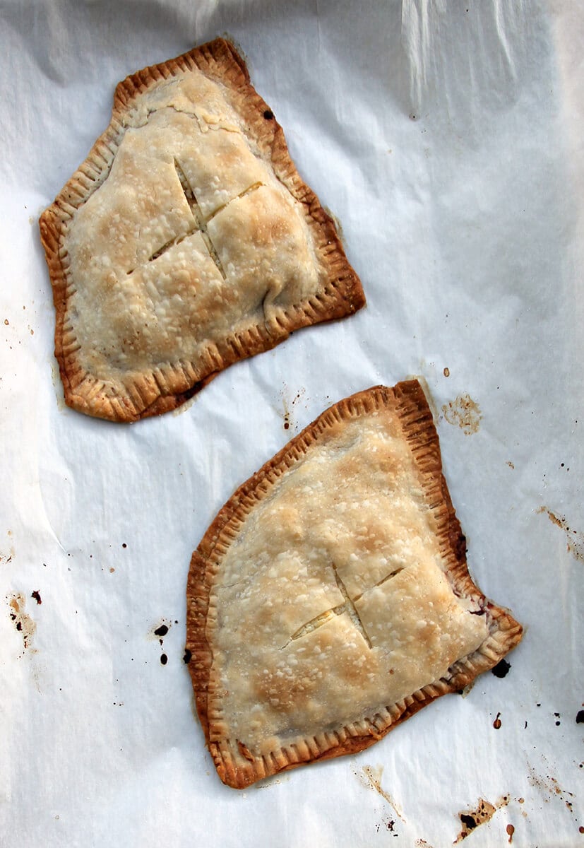 Overhead shot of two baked leftover turkey hand pies on parchment paper. 