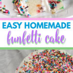 Funfetti cake makes everyone smile and this recipe is so easy it will make YOU smile! Grab your whisk and make the easiest, moistest cake ever!