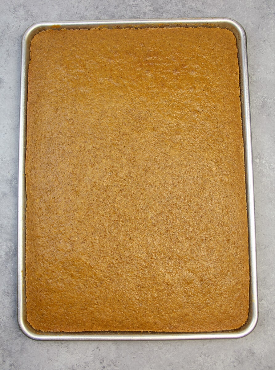 Overhead view of baked pumpkin sheet cake.