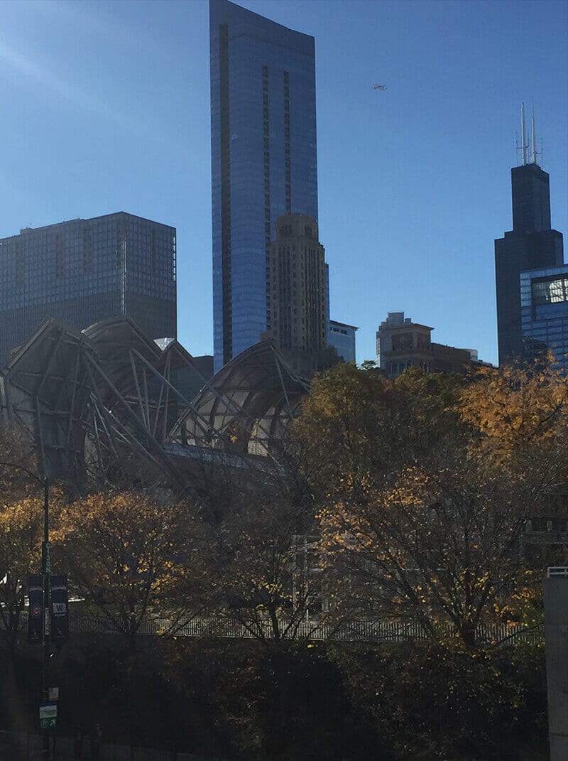 Chicago Travel Guide for Chicago's famous architecture.