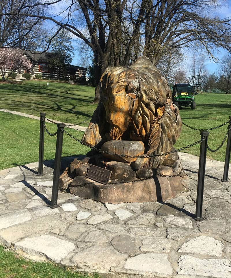 Kentucky Travel Guide showing A hand carved buffalo at the Buffalo Trace Distillery.