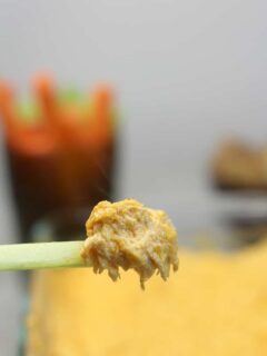 Closeup of Buffalo Chicken Dip on a piece of celery.