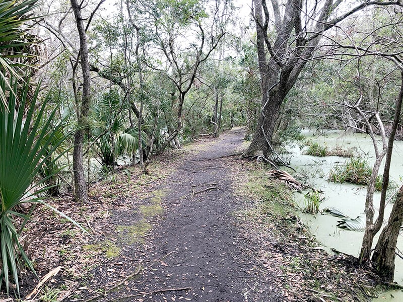 Path through the woods at Fort Clinch park in Amelia Island.