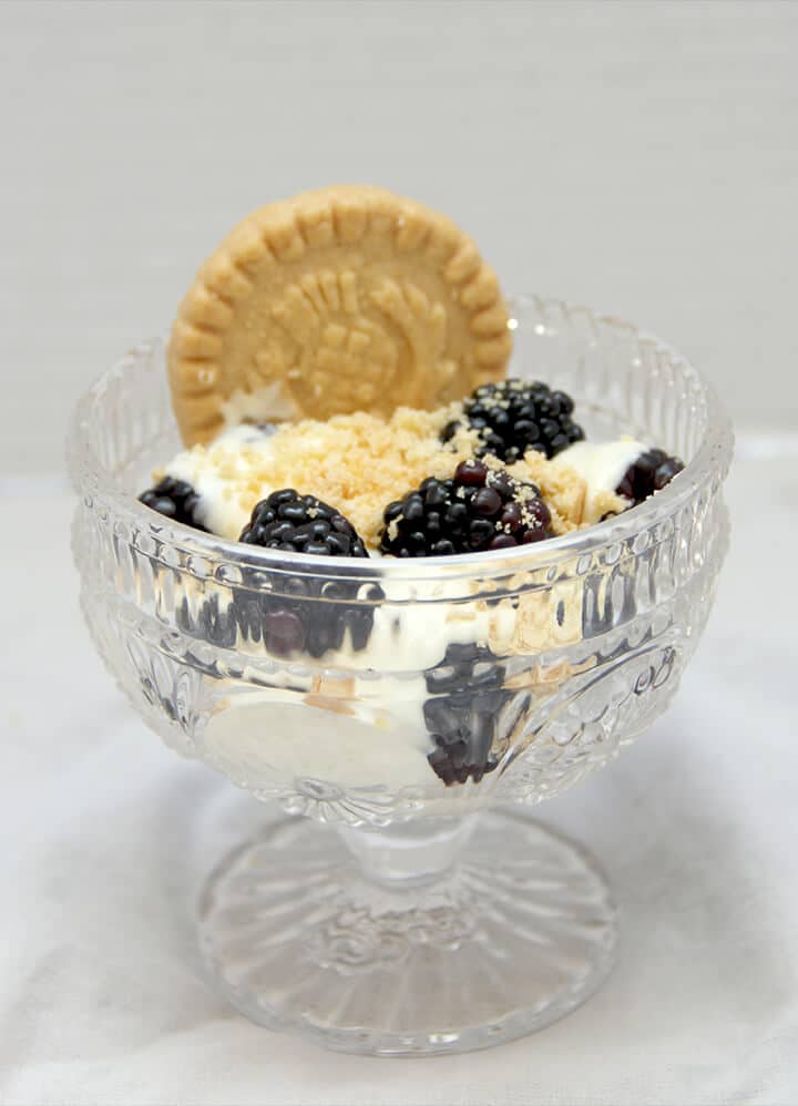 A bowl of berries and lemon pastry cream with a shortbread cookie.
