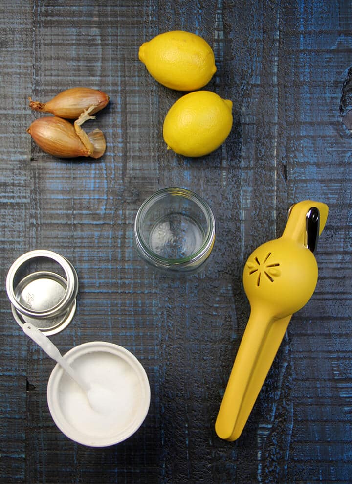 Lemons, shallots, and sugar on a cutting board to make French salad dressing. 