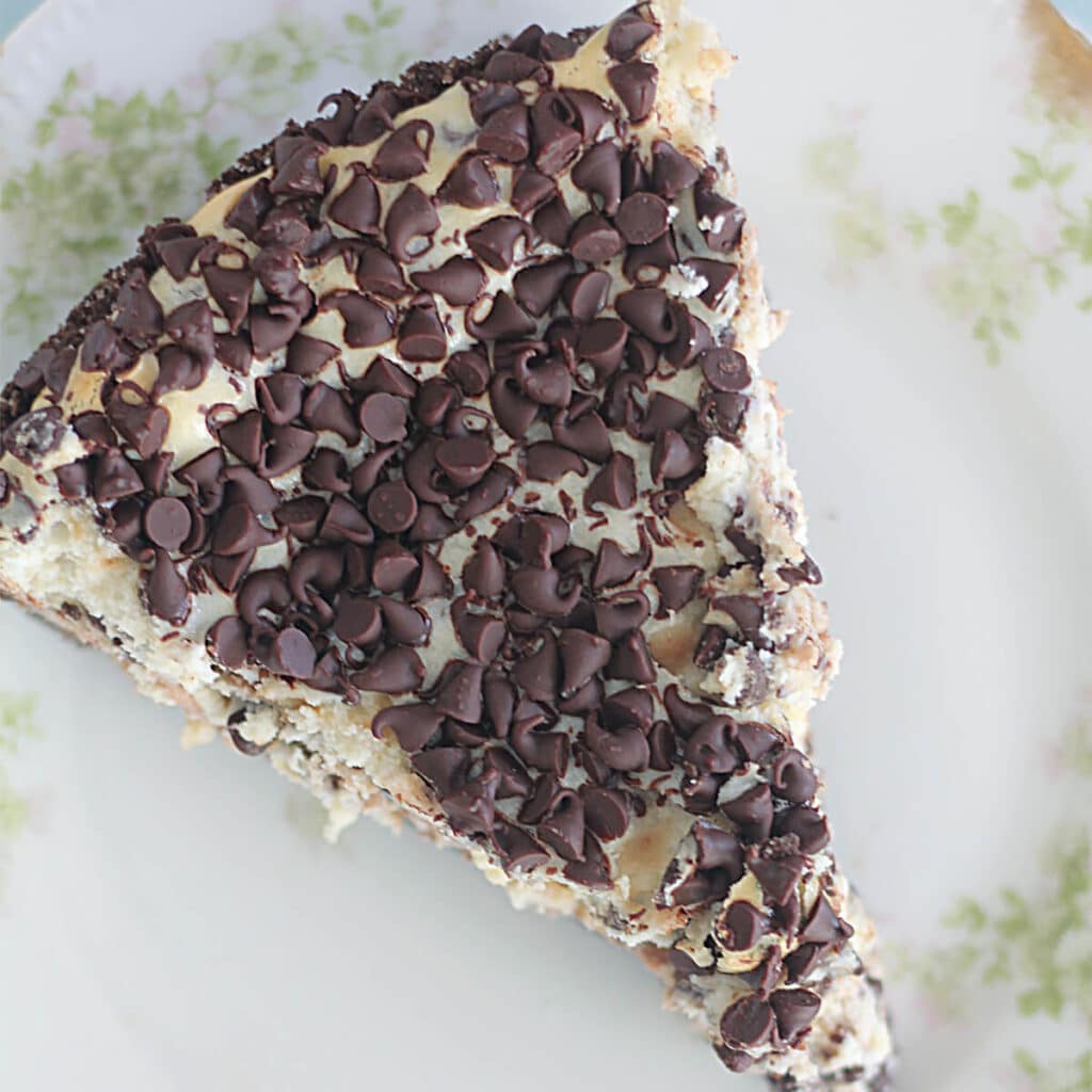 Overhead photo of a slice of chocolate chip cheesecake on a floral plate.