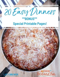 front page of 20 easy dinners cookbook.