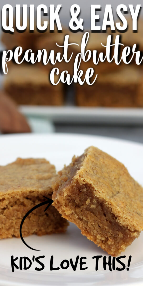 Easy Peanut Butter Cake Simple, OneBowl, 45 Minutes