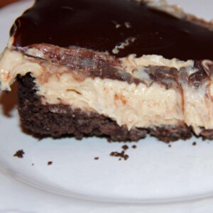 A slice of chocolate peanut butter pie on a plate.