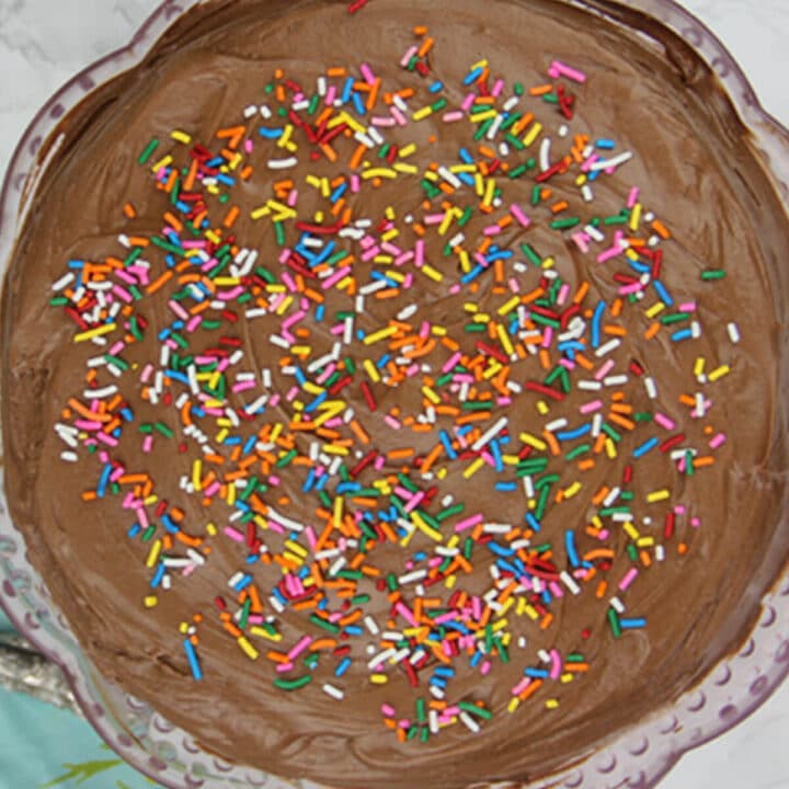 One Layer Cake recipe that's SO EASY and is perfectly moist and tender every time. Your cake is ready in about 45 minutes start to finish!