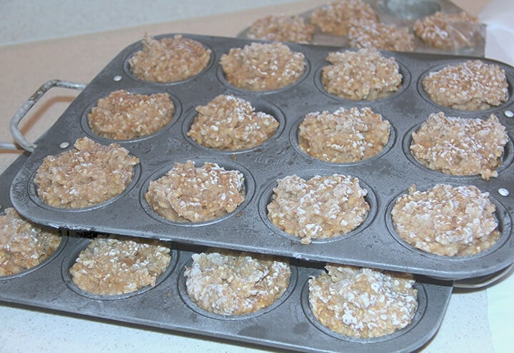 Muffin pans filled with frozen brown sugar oatmeal.