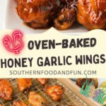 Enjoy crispy oven-baked Honey Garlic Wings with a sweet, savory, and spicy sauce. Simple to make, ideal for gatherings or meals.