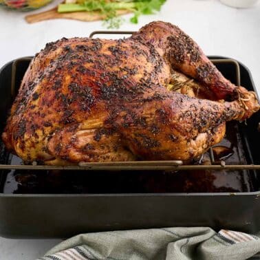 Roast turkey on a pan with rack.