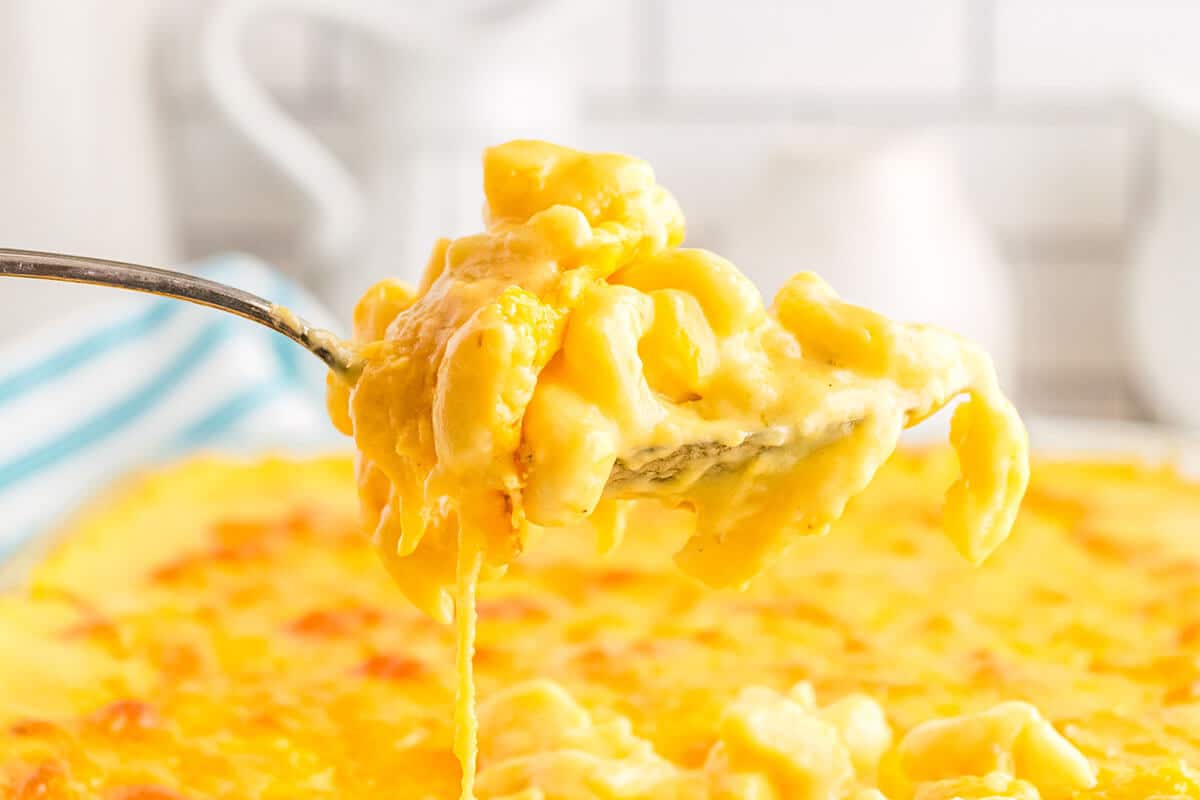 A bite of creamy baked mac and cheese on a fork.