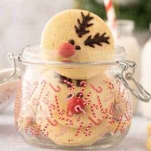 A jar with candy cane designs holds delightful sugar cookies, each decorated to resemble reindeer complete with chocolate antlers and a red candy nose.