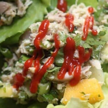 Lettuce wrap filled with chicken, chopped vegetables and herbs, topped with a drizzle of red sauce.