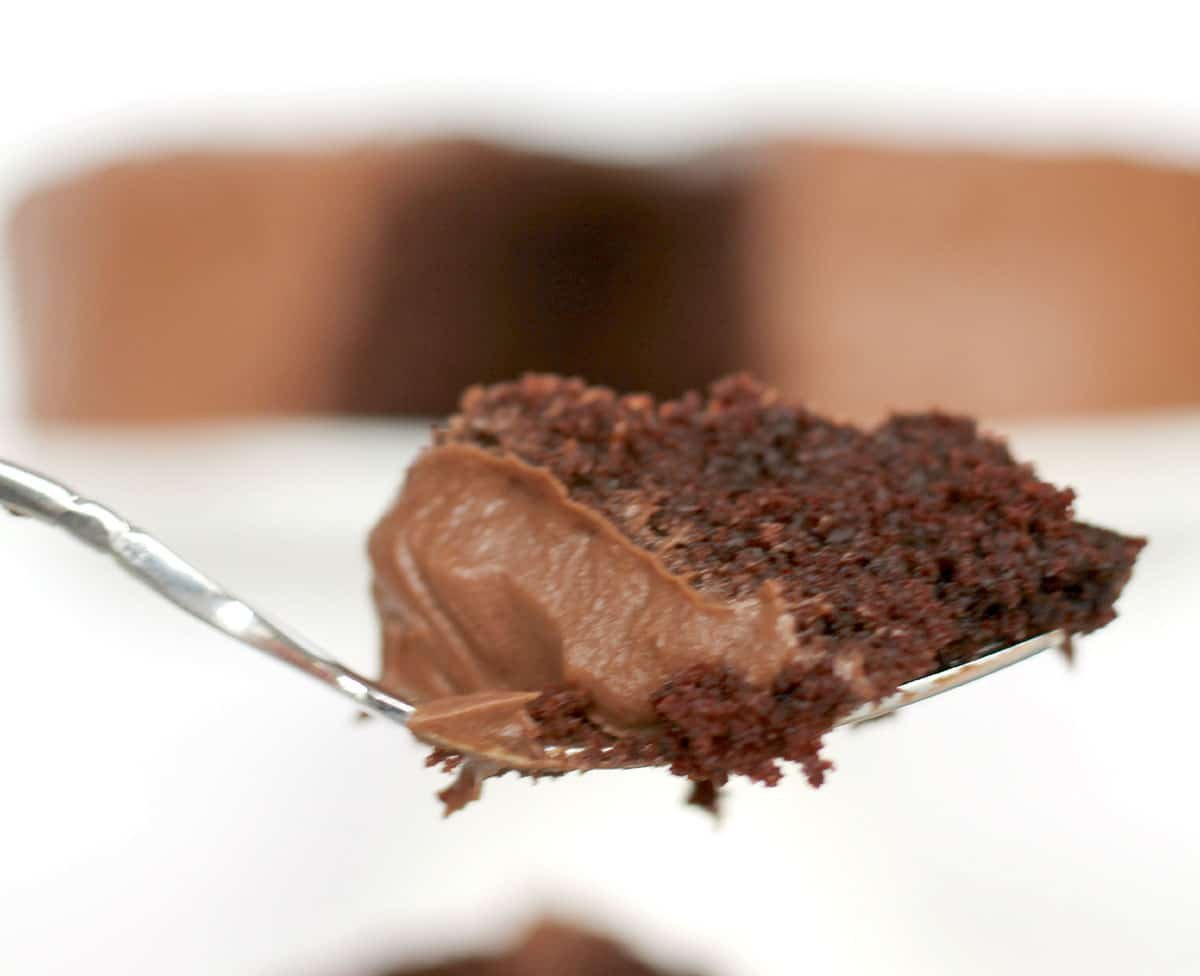 A close-up of a fork holding a bite of Hershey's chocolate cake with thick, creamy frosting. The cake appears moist and rich, with a blurred background.