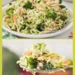 A plate of broccoli slaw made with shredded cabbage, carrots, broccoli florets, and dressing, with a close-up of a forkful of the slaw.