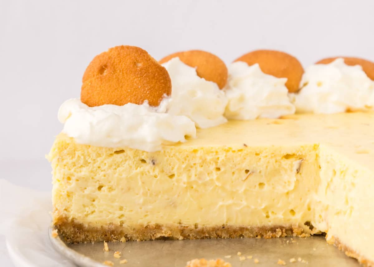 A close-up of a cheesecake with a graham cracker crust, topped with whipped cream and vanilla wafer cookies, with a slice removed.