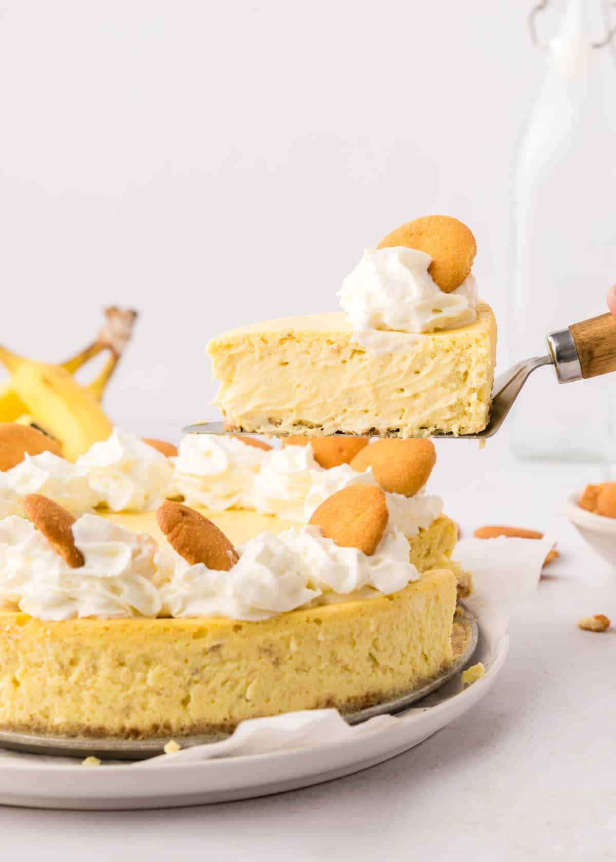 A slice of banana pudding cheesecake with whipped cream and cookies is being lifted from the whole cheesecake on a plate.