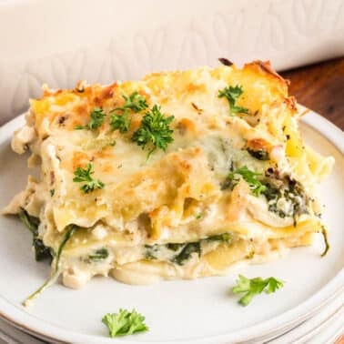 A slice of chicken alfredo lasagna with spinach and cheese, garnished with parsley, served on a white plate.