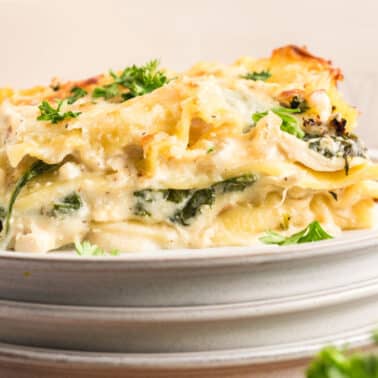 A close-up of a slice of chicken alfredo lasagna topped with fresh parsley, served on a stack of white plates.