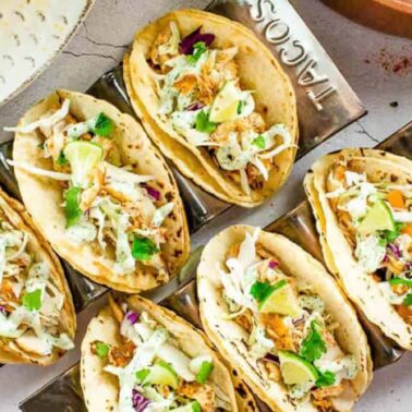 Six chicken tacos topped with shredded cabbage, avocado, and cilantro are arranged in metal taco holders on a white surface with lime wedges nearby—perfect for easy Back-To-School Dinners or quick dinners on busy nights.