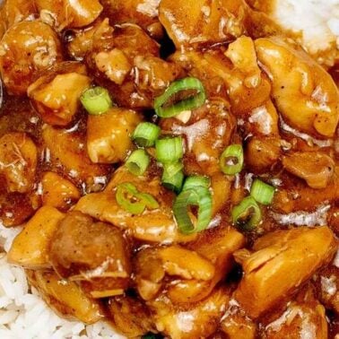 A bowl of white rice topped with a thick brown stew containing chicken pieces, mushrooms, and chopped green onions—perfect for easy dinners or quick dinner recipes.