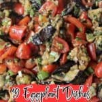 A close-up of a colorful eggplant and tomato salad with herbs, featuring a text overlay that reads "19 Eggplant Dishes" and a website URL at the bottom.