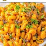 Plate of macaroni pasta with creamy orange sauce, spinach, herbs, and sausage, with text overlay reading "20 Pasta Dinners" and website "southernfoodandfun.com".