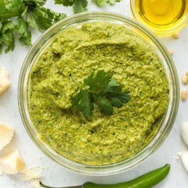 A bowl of jalapeno pesto garnished with cilantro, surrounded by parmesan cheese, cilantro, olive oil, pine nuts, garlic cloves, and a green chili pepper on a white surface.