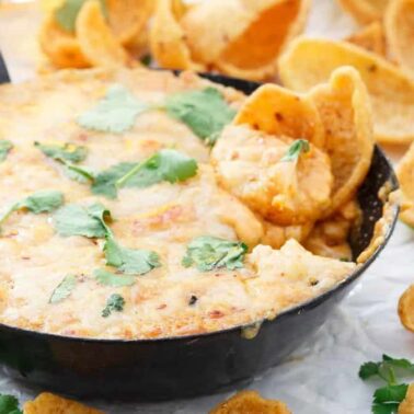 A skillet filled with cheesy dip topped with cilantro sits surrounded by corn chips, with some chips dipped into the cheese—perfect for lovers of easy cheesy meals.