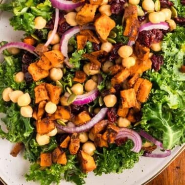 A salad with kale, roasted sweet potatoes, chickpeas, red onion slices, dried cranberries, and pumpkin seeds on a white plate.