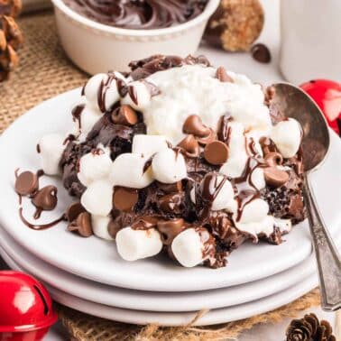 A dessert of chocolate cake topped with marshmallows, chocolate chips, chocolate sauce, and whipped cream sits on a stack of white plates with a spoon.