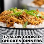 A bowl of shredded chicken and rice is topped with sliced green onions; text reads "17 Slow Cooker Chicken Dinners. Made for Set-It-and-Relax Evenings—perfect for fans of slow cooker recipes.