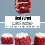 Four mini red velvet cakes with cream cheese frosting are shown, one held up to display the interior and three placed on a white plate in the background.