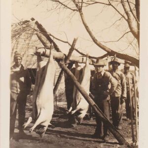 Several men stand outdoors beside two pigs hanging upside down from a wooden frame, beneath leafless trees, in a black-and-white photograph.