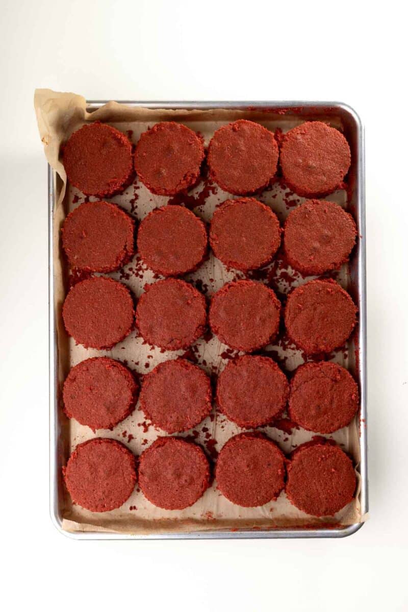 A baking tray lined with parchment paper holds 20 round, unfrosted red velvet cake layers arranged in a grid pattern.