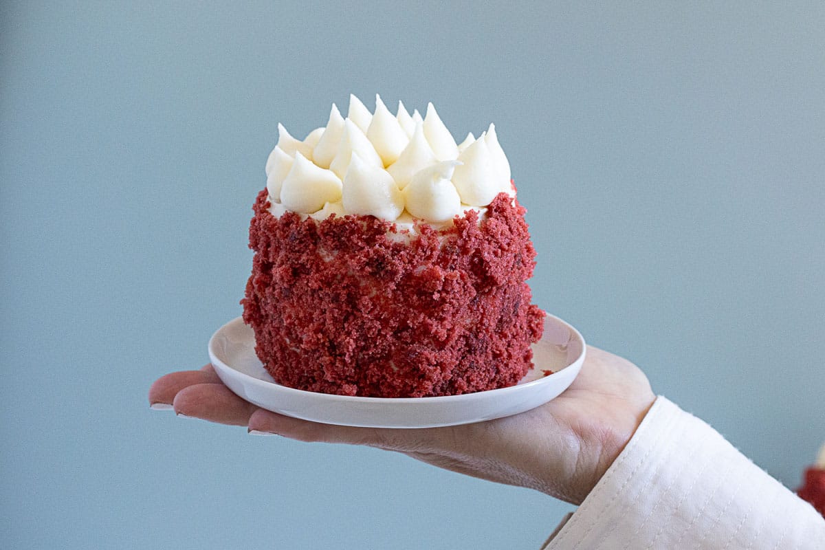 A hand holds a small round red velvet cake with cream cheese frosting on top, presented on a white plate against a plain background.