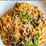 A plate of creamy noodles with mushrooms and green onions, served on a white textured plate. Text above reads: "16 Cozy Comfort and Quick Meals Live in NOODLE RECIPES.