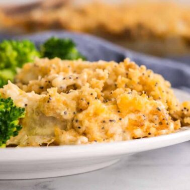 A white plate with broccoli florets and a serving of chicken casserole baked to perfection, topped with poppy seeds on a marble surfaceโpure cheesy comfort.