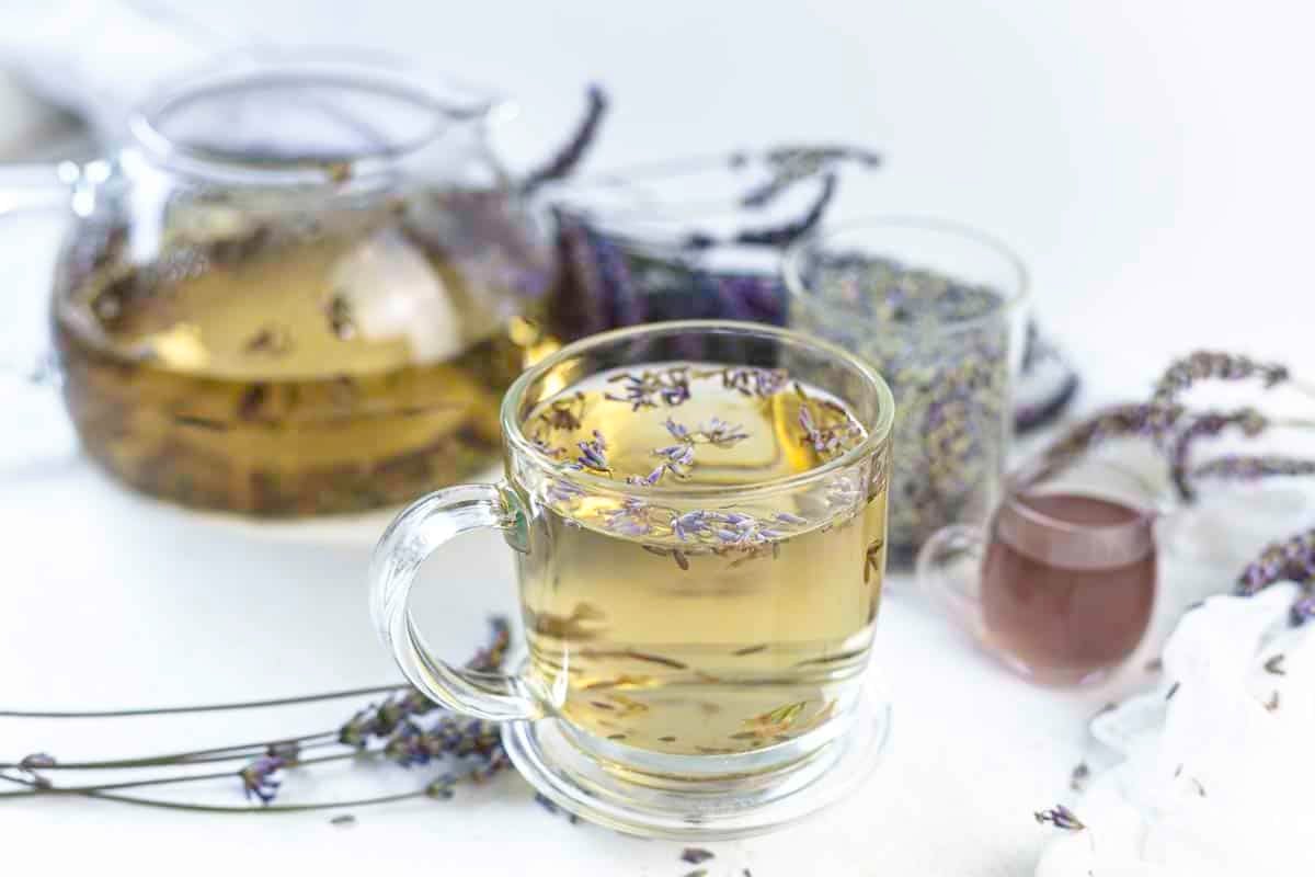 A clear glass cup of lavender tea with floating lavender buds, a teapot, dried lavender, and a small glass of purple liquid in the background—perfect inspiration for fresh infusions and new tea recipes.