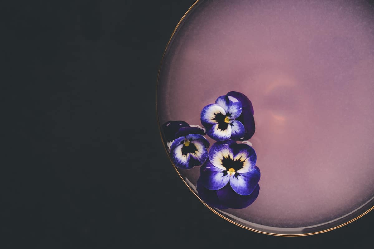 A purple cocktail garnished with three purple and white edible flowers, shown in a glass against a dark background.